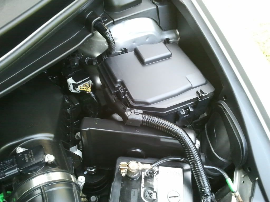 Engine bay tidy up Detailing World Forum